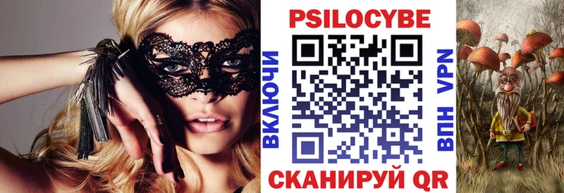 Псилоцибиновые грибы Cubensis магазин Белокуриха
